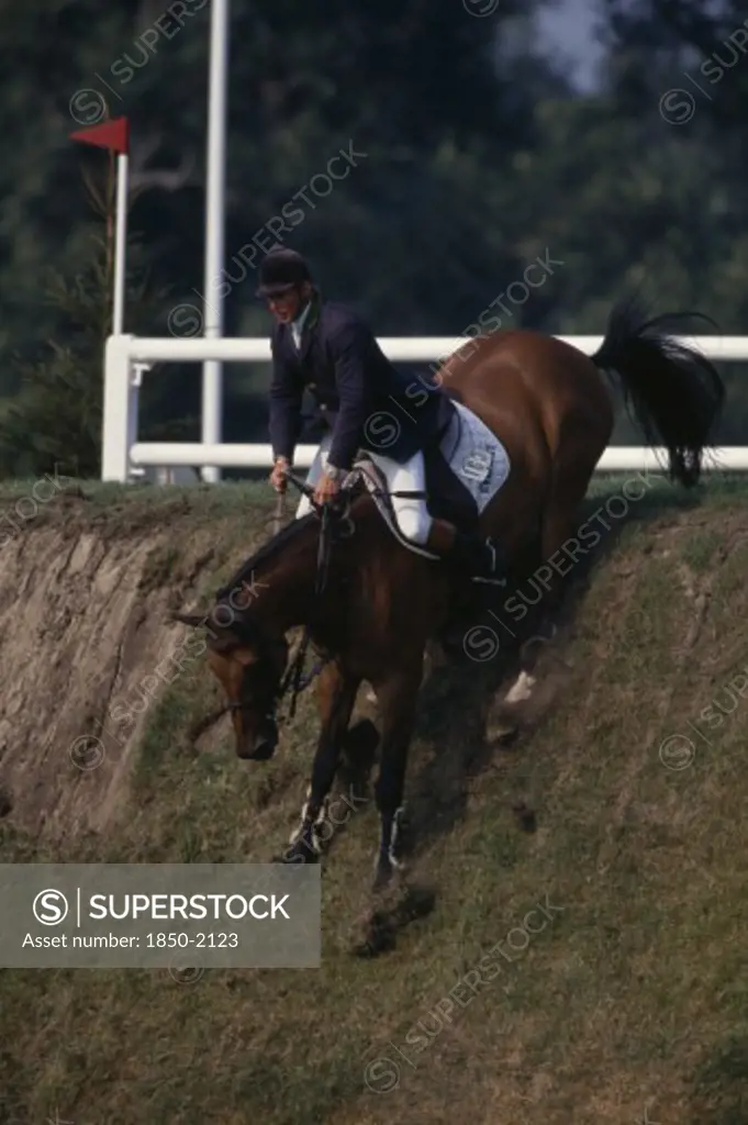 Sport, Equestrian , Show Jumping, Nick Skelton Coming Down The Derby Bank At Hickstead On Bay Horse.