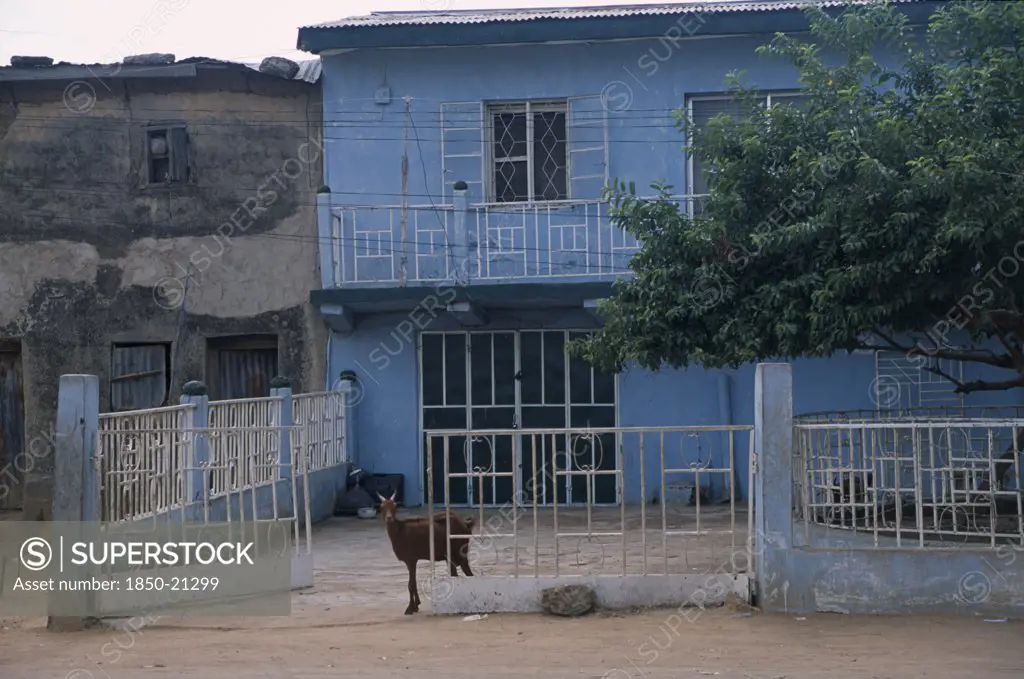 Nigeria, Kano, 'Typical House With Blue Painted Exterior, White Metal Balcony And Courtyard With Goat Standing In Gateway.'