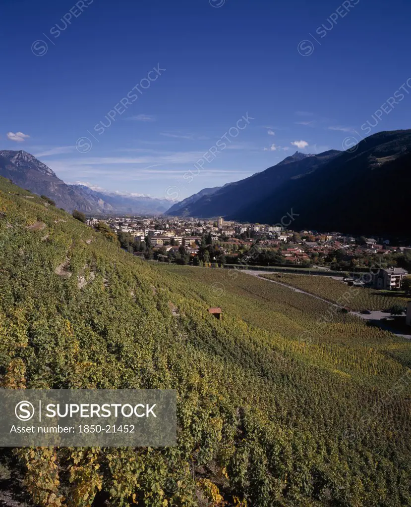 Switzerland, Valais, Martigny, Rhone Valley. View Across Vineyards On Slope Towards The Town.