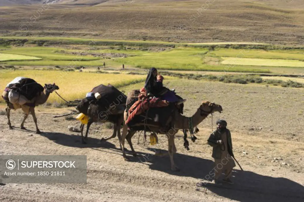 Afghanistan, Desert, 'Kuchie Nomad Camel Train, Between Chakhcharan And Jam'