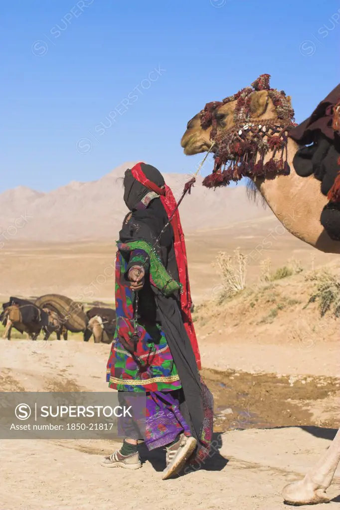 Afghanistan, Desert, 'Kuchie Nomad Lady Leads Camel Train, Between Chakhcharan And Jam'