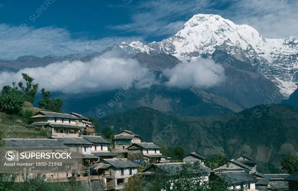 Nepal, Gandruk, 'Gurung Village On Steep, Terraced Slope With Annapurna South In The Background.  The Gurung Are Indigenous Peoples And Devout Buddhists.'