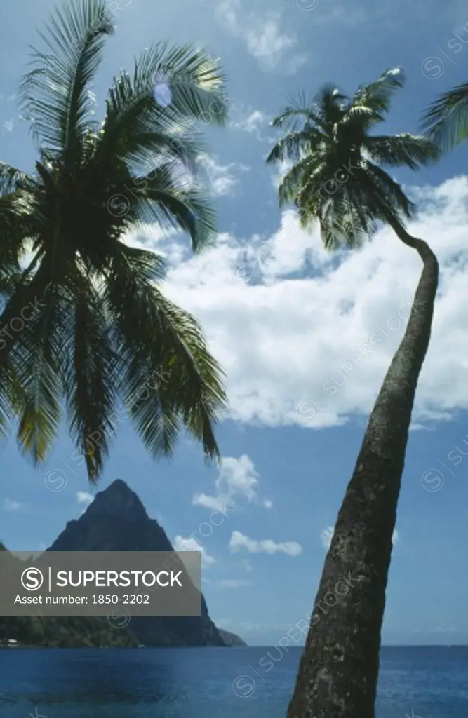 West Indies, St Lucia, Soufriere, The Pitons With Palm Trees In The Foreground.