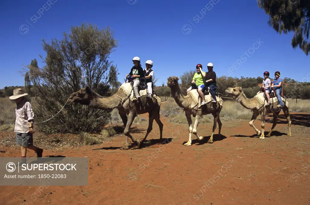Australia, Northern Territory, Uluru, 'Kata Tjuta National Park, Camel Train And Riders, Mount Uluru, Ayers Rock.'
