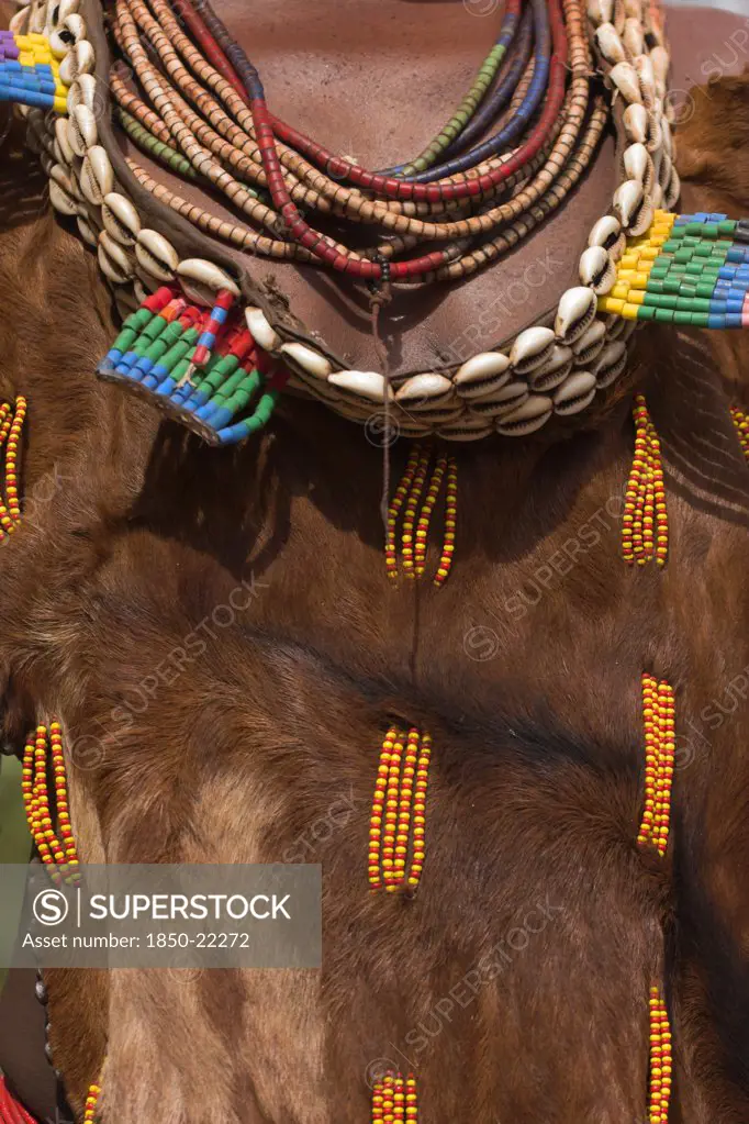 Ethiopia, Omo Valley, Mago National Park, Womans Necklaces And Traditional Goatskin Dress Decorated With Cowrie Shells