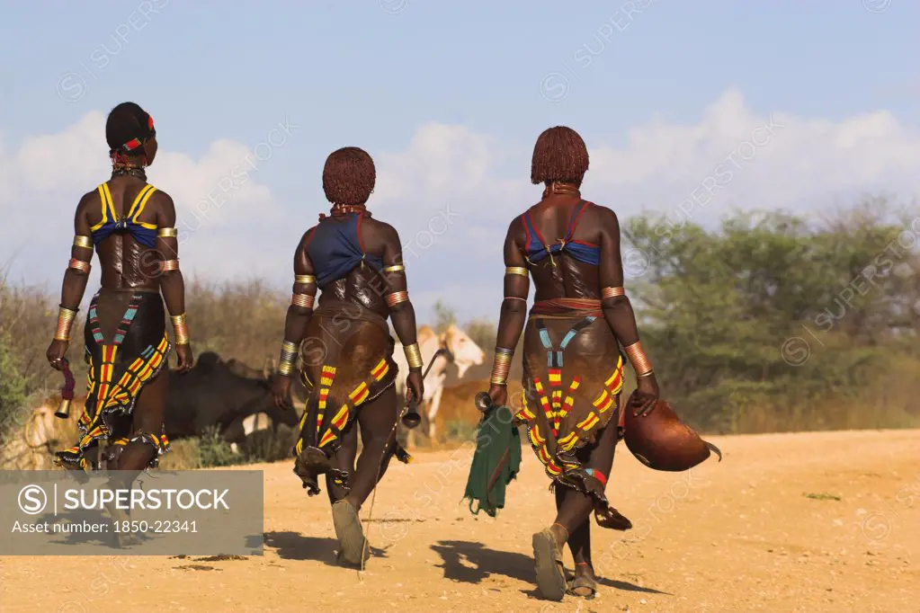 Ethiopia, Lower Omo Valley, Tumi, 'Hama Jumping Of The Bulls Intiation Ceremony, The Initiate Comtemplates The Ceremony Where He Will Be Required To 'Jump' Over A Line Of Bulls'