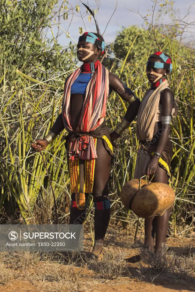Ethiopia, Lower Omo Valley, Tumi, 'Hamer Jumping Of The Bulls Initiation Ceremony, Girls Watching Ritual Dancing Round Cows And Bulls Before The Initiate Does The Jumping'