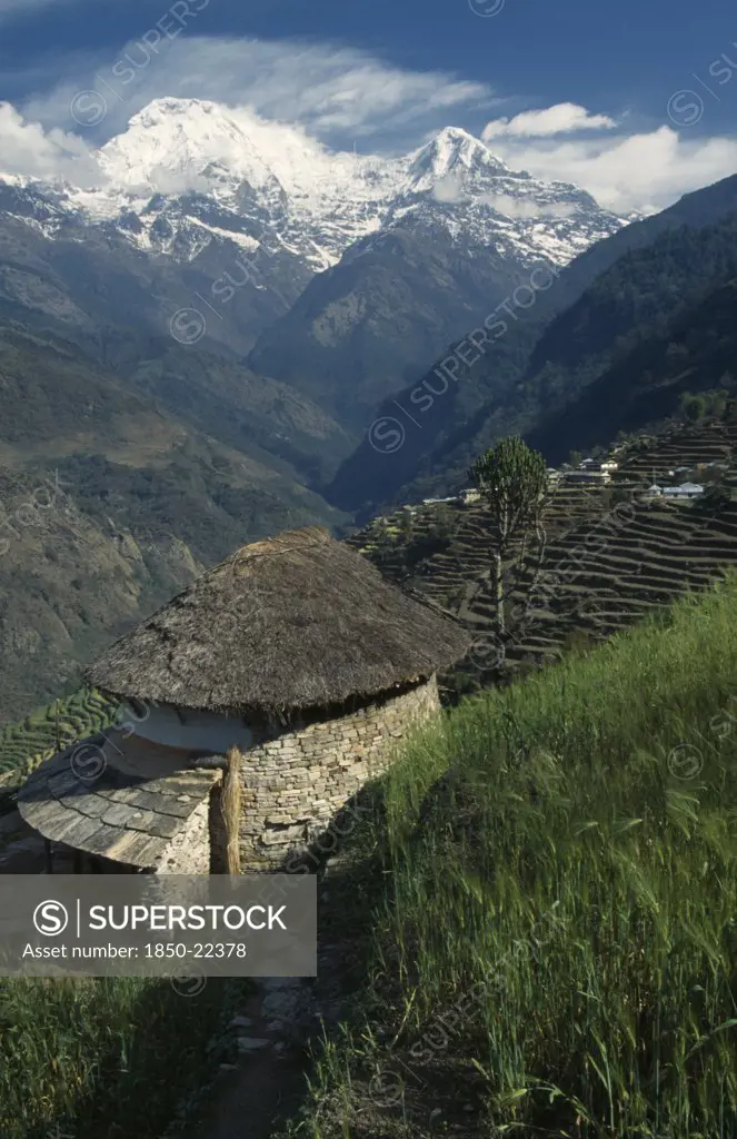 Nepal, Annapurna Region, Landruk, Sanctuary Trek. Circular Stone Building With Thatched Roof Overlooking Sloping Agricultural Terracing. Snow Capped Mountains Annapurna South And Hiunchuli In The Background