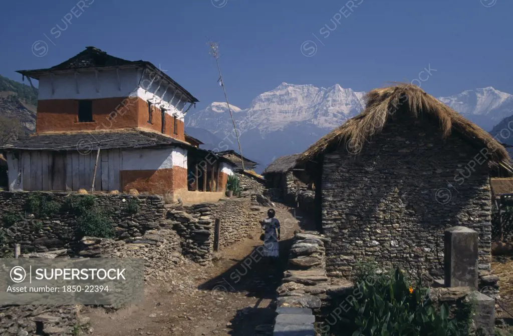 Nepal, Dhorpatan Trek, Dhorpatan, Woman Walking Between Stone Houses In Dharapani Village And The Dhaulagiri Himal Snow Capped Mountain Behind In The Distance