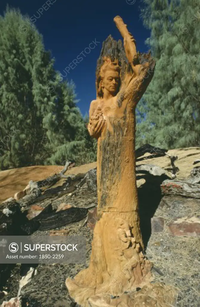 Australia, Northern Territories, Alice Springs, William Ricketts Wooden Sculpture Of Nature Guardian.
