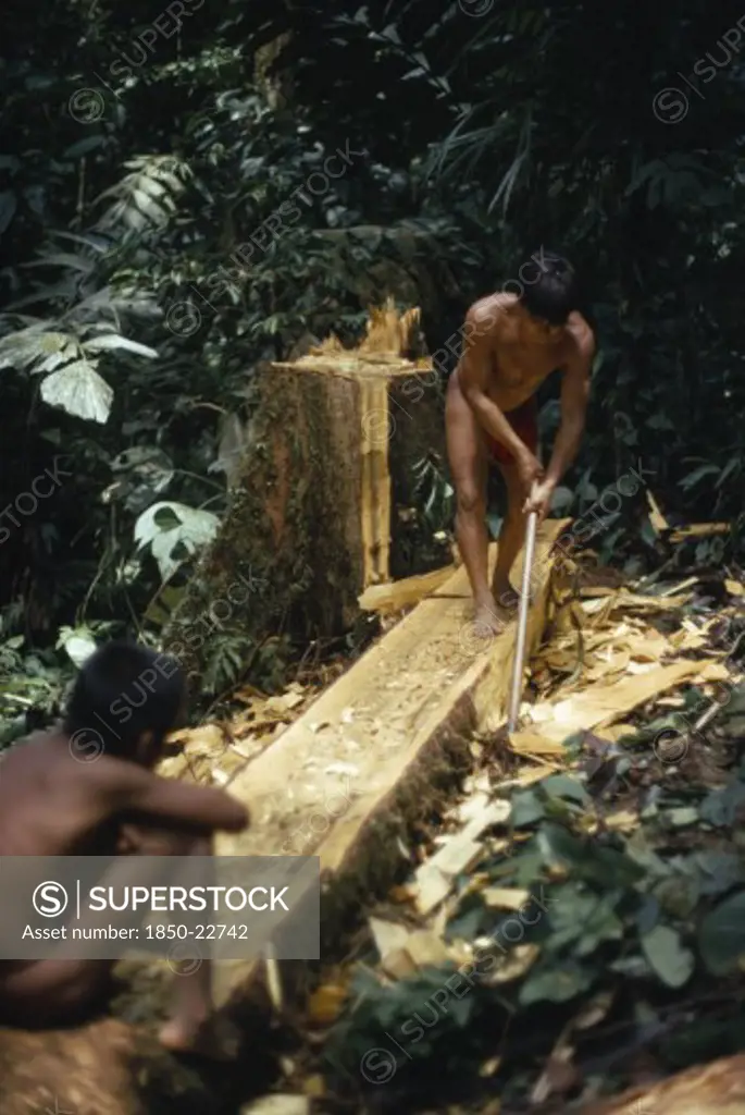 Colombia, Choco, Embera Indigenous People, 'Hueso, An Embera Father Using Axe To Make Family Dug Out Canoe From Large Felled Tree. Pacific Coastal Region Boat Piragua Tribe '