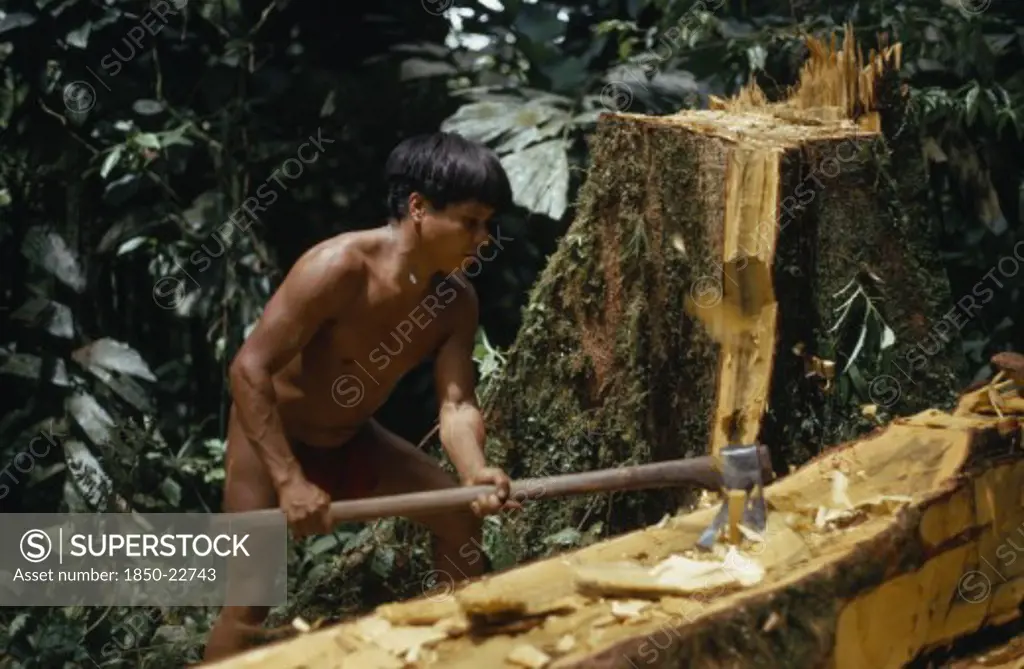 Colombia, Choco, Embera Indigenous People, 'Hueso, Embera Father Using Axe To Fashion A New Family Canoe From Recently Felled Hardwood Tree. Pacific Coast Colombuia South America '