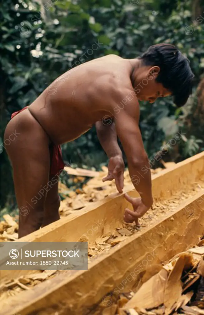 Colombia, Choco, Embera Indigenous People, Embera Man Making Dug-Out Canoe From Large Hardwood Tree Using Hands To Measure Height And Width Of Sides . Pacific Coastal Region Boat Canoa Tribe American Colombian Colombia Hispanic Indegent Latin America Latino Male Men Guy South America  Pacific Coastal Region Boat Piragua Tribe American Colombian Columbia Hispanic Indegent Latin America Latino Male Men Guy South America Male Man Guy One Individual Solo Lone Solitary 1 Single Unitary