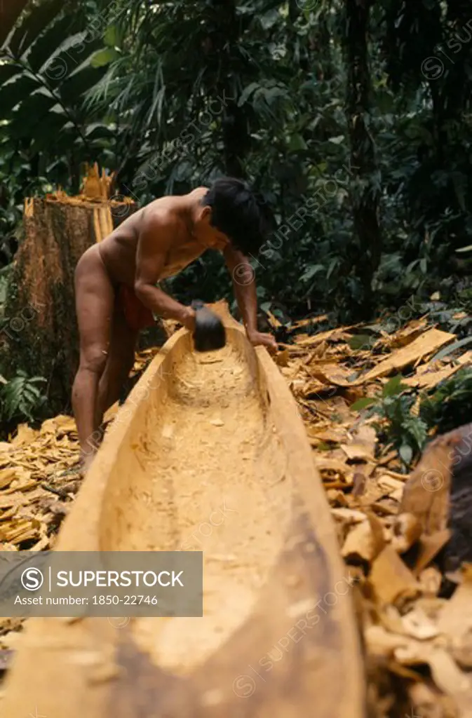 Colombia, Choco, Embera Indigenous People, Embera Man Using Axe Or Adze .  To Hollow Out Dug Out Canoe From Large Felled Hardwood Tree.Once Completed Canoe Is Dragged Through Forest To Riverside Home Where Final Shaping Takes Place Pacific Coastal Region Boat Canoa Tribe American Colombian Colombia Hispanic Indegent Latin America Latino Male Men Guy South America  Pacific Coastal Region Boat Piragua  Tribe American Colombian Columbia Hispanic Indegent Latin America Latino Male Men Guy South Amer