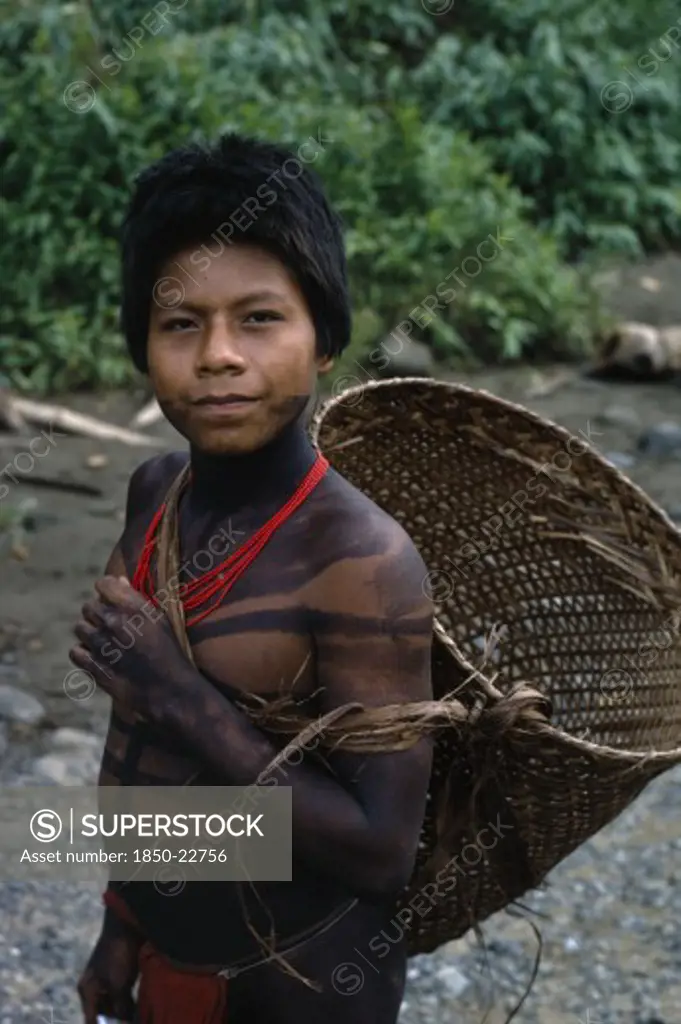 Colombia, Choco, Embera Indigenous People, Portrait Of Young Embera With Lower Face And Body Painted With Black Dye Extracted From The Jagua Fruit Wearing Red Glass Bead Necklace  Returns From Chagra Family Cultivation Patch With Manioc Roots In Woven Cane Basket . Pacific Coastal Region Tribe Body Decoration American Colombian Colombia Hispanic Indegent Latin America Latino South America  Pacific Coastal Region Tribe Body Decoration American Colombian Columbia Hispanic Indegent Latin America La