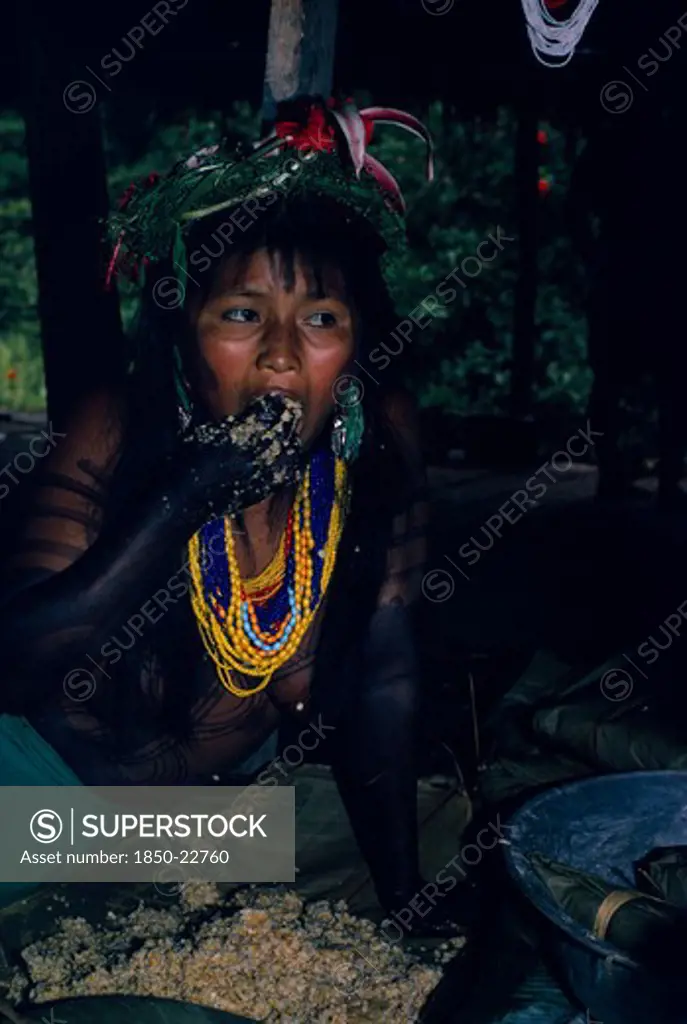 Colombia, Choco, Embera Indigenous People, 'Young Embera Daughter Painted With Black Dye Extracted From Jagua Fruit Wearing Multiple Bead Necklaces And Head-Dress Of Wild Hybiscus And Lilies  Masticates Maize  The Saliva Sets Off Fermentation  To Make Chicha Maize Beer For A ''Canta Hai'' Curing Ceremony To Be Carried Out By Her Father  A Shaman.   Pacific Coastal Region Tribe Body Decoration American Colombian Colombia Female Women Girl Lady Hispanic Indegent Latin America Latino South America 