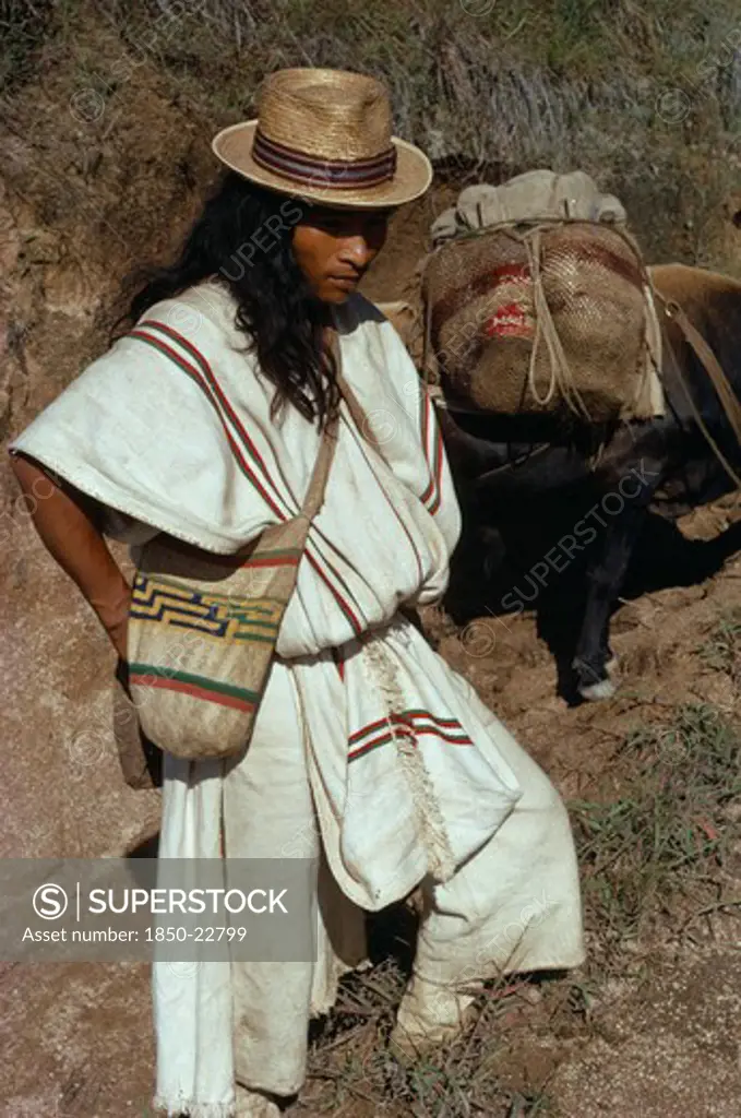 Colombia, Sierra Nevada De Santa Marta, Ika, Ika Man In Traditional Dress With Hand-Sewn Wool&Cotton Mochila Shoulder Bag Takes Supplies Into The Sierra By Mule. Arhuaco Aruaco Indigenous Tribe American Classic Classical Colombian Colombia Hispanic Historical Indegent Latin America Latino Male Men Guy Older South America  Arhuaco Aruaco Indigenous Tribe American Classic Classical Colombian Columbia Hispanic Historical Indegent Latin America Latino Male Men Guy Older South America History Male Ma