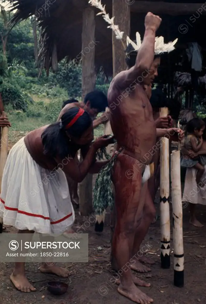 Colombia, North Westamazon, Vaupes, Maku Woman Painting The Body Of Man Wearing Feather Crown With Red Karajuru/Ochote Plant Dye. Indigenous Tribe Indian Nomadic American Colombian Columbia Female Women Girl Lady Hispanic Indegent Latin America Latino Male Men Guy South America Vaupes Female Woman Girl Lady Male Man Guy Vaupes