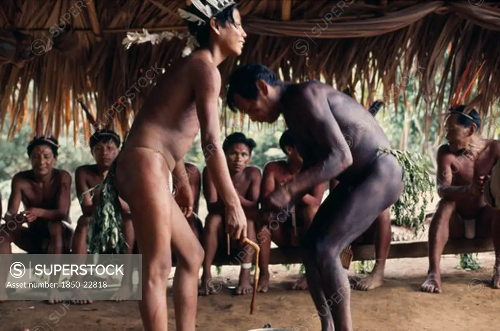 Colombia, North West Amazon, Vaupes, Pair Of Maku Men Taking Part In Dance Watched By Others Seated Behind Beneath Palm Thatched Shelter.  Many With Painted Bodies And Wearing Macaw Feather Crowns. Indigenous Tribe Indian Nomadic American Colombian Columbia Hispanic Indegent Latin America Latino Male Man Guy Performance South America Vaupes Male Men Guy Vaupes