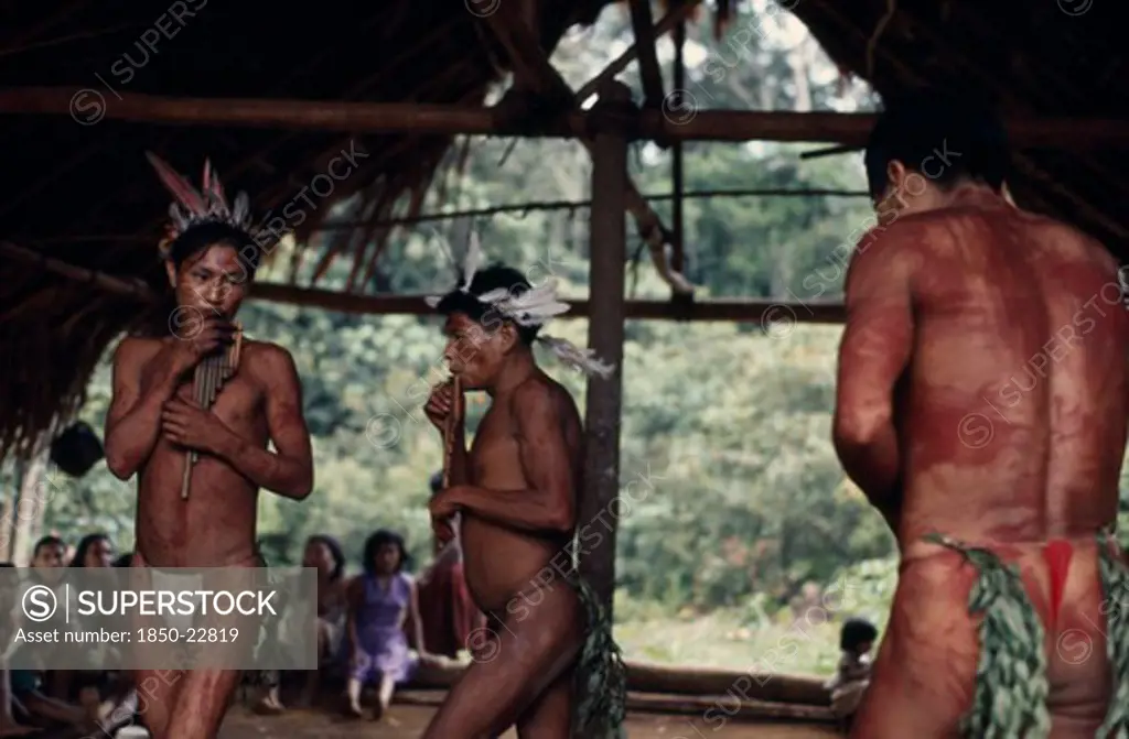 Colombia, North West Amazon, Vaupes, Maku Men Taking Part In Dance And Playing Pan-Pipes Watched By Others Beneath Palm-Thatched Shelter/Home.  With Body Paint Wearing Macaw Feather Crowns. Indigenous Tribe Indian Nomadic American Colombian Columbia Hispanic Indegent Latin America Latino Male Man Guy Performance South America Vaupes