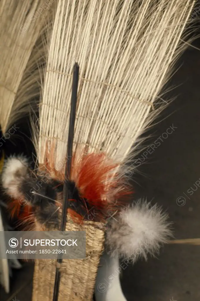 Colombia, North West Amazon, Tukano Indigenous People, 'Barasana Ceremonial  Royal Crane Tail Feathers Bound Together With Macaw & Toucan Small Feathers To Form Central Part Of Male Dance Regali, Stand On Maloca Floor Ready To Be Worn At Dance. Tukano Sedentary Indian Tribe North Western Amazonia American Colombian Columbia Hispanic Indegent Latin America Latino South America Tukano  '