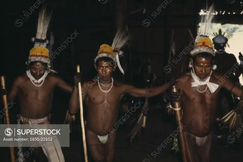 Colombia, North West Amazon, Tukano Indigenous People, 'Barasana Manioc Festival.  Line Of Male Dancers Wearing Full Ceremonial Regalia   Royal Crane Macaw And Toucan Feather Head-Dresses   Bodies And Faces Painted With Dark Purple ''We'' Leaf Juice And Red Achiote Fruit Dye   Painted Bark-Cloth Aprons, Monkey Fur And Monkey Teeth Belts Tukano Sedentary Indian Tribe North Western Amazonia American Colombian Columbia Hispanic Indegent Latin America Latino Performance South America Tukano   '