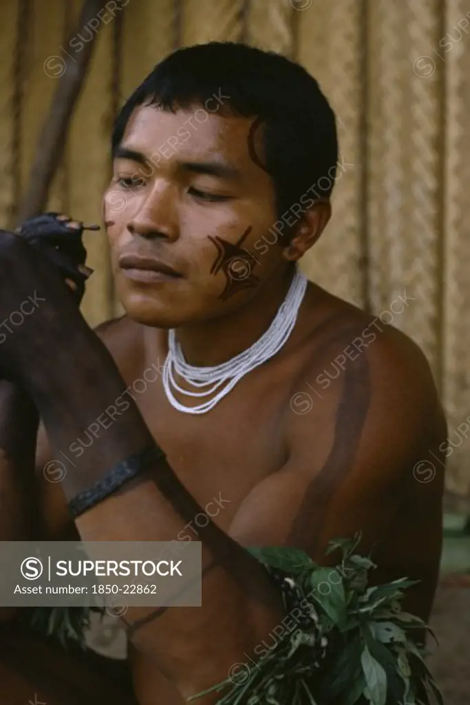 Colombia, North West Amazon, Tukano Indigenous People, Barasana Man Looking In Traded Mirror To Apply Dark Red Achiote Facial Paint With Hands Already Coloured Dark Purple To Wrists From We Leaf Juice Tukano Sedentary Indian Tribe North Western Amazonia Body Decoration American Colombian Colored Columbia Hispanic Indegent Latin America Latino Male Men Guy South America Tukano