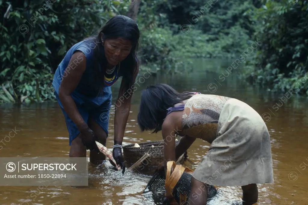 Colombia, North West Amazon, Tukano Indigenous People, Makuna Mother And Daughter Washing Manioc Roots Brought In From Chagra Cultivation Plot  Prior To Rubbing Down On Flint Inlain Board To Make Farinha Flour And Casabe. Tukano Makuna Rio Piraparana Vaupes South America Tukano