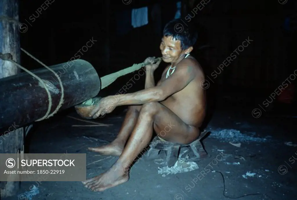 Colombia, North West Amazon, Tukano Indigenous People, 'Visiting Maku Nomadic Hunter Pounding Coca Leaves To Very Fine Powder  Pours Powder Into A Gourd, Mixes With Yarumo Ash And Puts Into Mouth. Maku Nomadic Hunter Indian North Western Amazonia Vaupes '