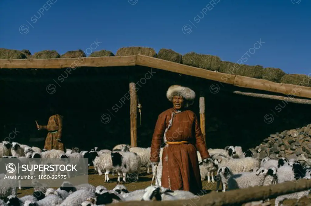 Mongolia, Agriculture, Khalkha Winter Sheep Camp. Shepherd And Daughter Separating Out Lambs From Sheep In Pen In Front Of Shelter With Bales Of Fodder Stored On Sloping Roof. East Asia Asian Mongol Uls Mongolian