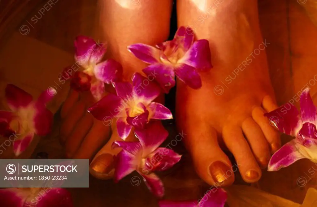 China, Beijing, Bodhi Theraputic Retreat.  Close Cropped Shot Of Feet Soaking In Water Scattered With Orchid Flowers.