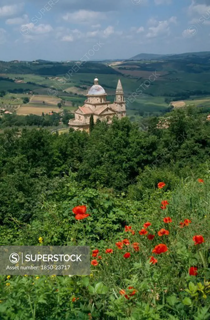Italy, Tuscany, Montepulciano, Tempio Di San Biagio Church. High Renaissance Church With Domed Roof Surrounded By Lush Green Trees And Red Poppies Growing In The Foreground