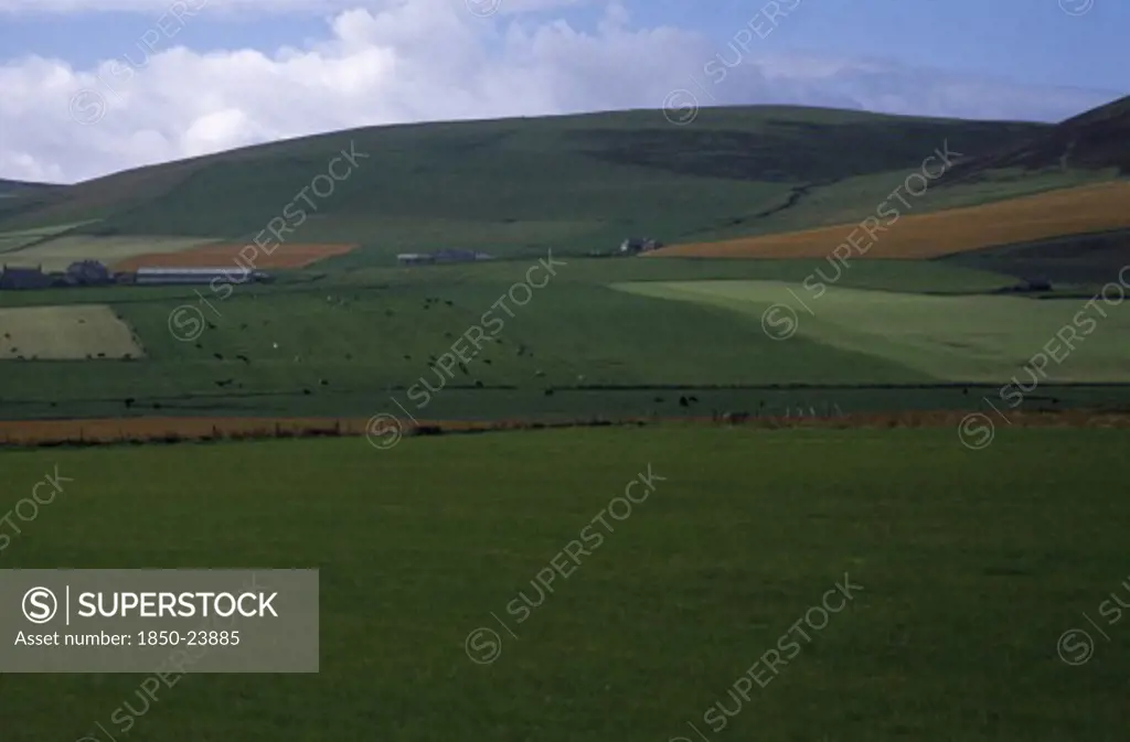 Scotland, Orkney Island, Agriculture, Agricultural Landscape Showing Field Patterns And Mix Of Dairy And Arable Farming.