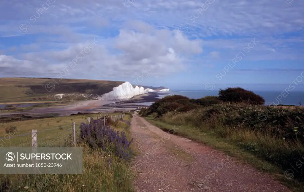 England, East Sussex, Seven Sisters, The Seven Sisters White Chalk Cliffs Viewed From A Path At Seaford Head