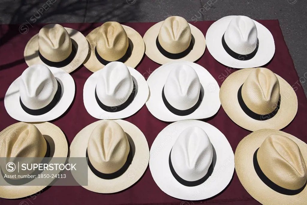 Mexico, Mexico City, Twelve Panama Hats For Sale