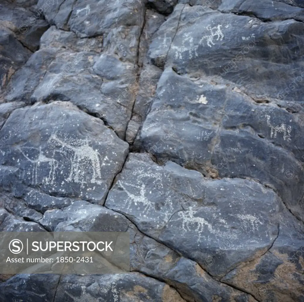 Oman, Jebel Akhdar, Wadi Sahtan, Rock Drawings Of Men On Camels And Horses Scratched On Grey Stones