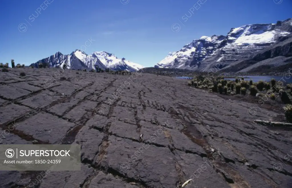 Colombia, Sierra Nevada Del Cocuy , 'View Across Harshly Weathered Limestone Karst-Like Plateau, Large Crevices Where Calcite Weathered Out. Frailejon ''Ferns'' And Sierra Peaks In Distance.'