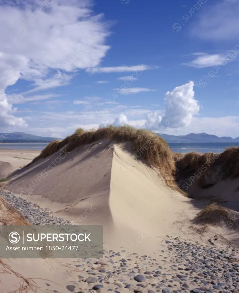 Wales, Isle Of Anglesey, Newborough Warren , Wind Shaped Sand Dune Topped With Thatch Of Grasses And With Smooth Grey Pebbles Scattered Across The Sand In The Foreground.