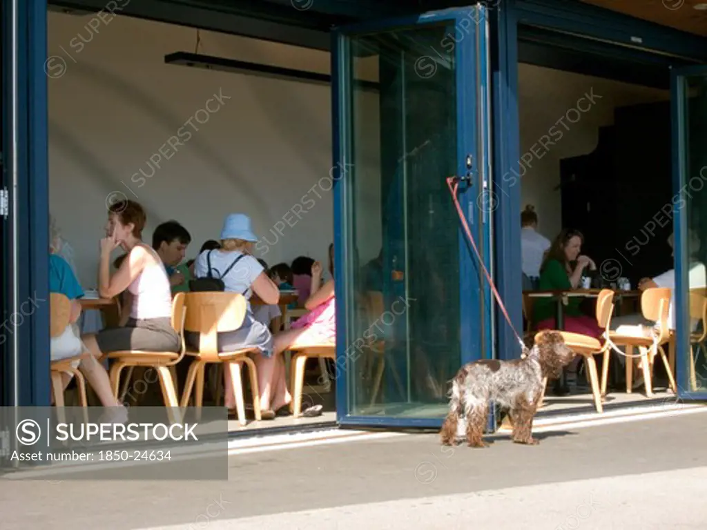 England, West Sussex, Littlehampton, Customers Sitting At Tables Inside The East Beach Cafe Designed By Thomas Heatherwick. Dog Tied To Glass Door Waiting Outside