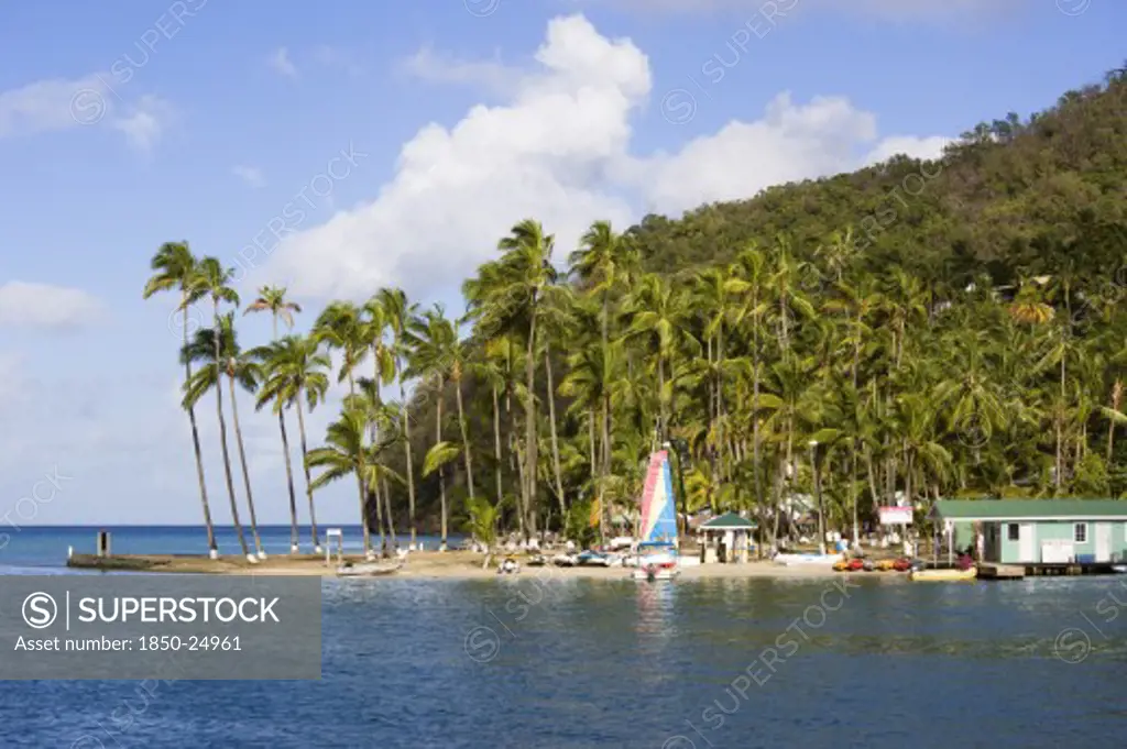 West Indies, St Lucia, Castries , Marigot Bay The Small Coconut Palm Tree Lined Beach Of The Marigot Beach Club At The Entrance To The Harbour