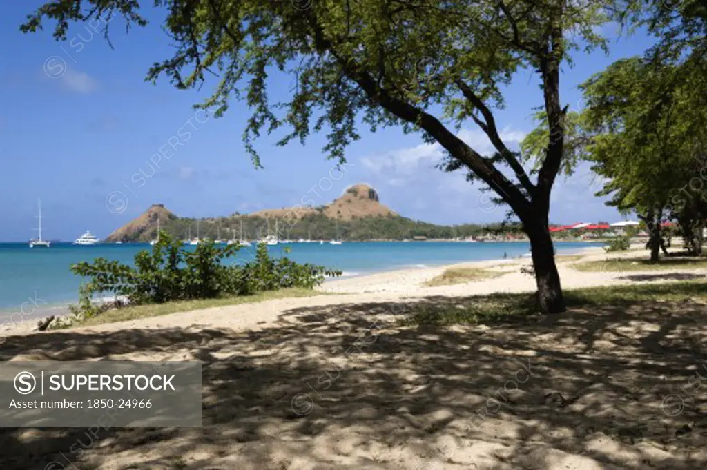 West Indies, St Lucia, Gros Islet , Pigeon Island National Historic Park Seen Through Trees From A Nearby Beach On A Causeway To The Island With Yachts At Anchor In Rodney Bay
