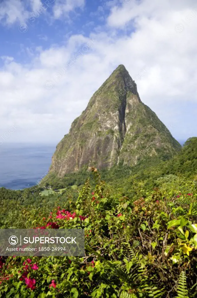 West Indies, St Lucia, Soufriere , Val Des Pitons The Volcanic Plug Of Petit Piton And The Lush Valley Seen From The Sun Deck Of The Ladera Spa Resort Hotel