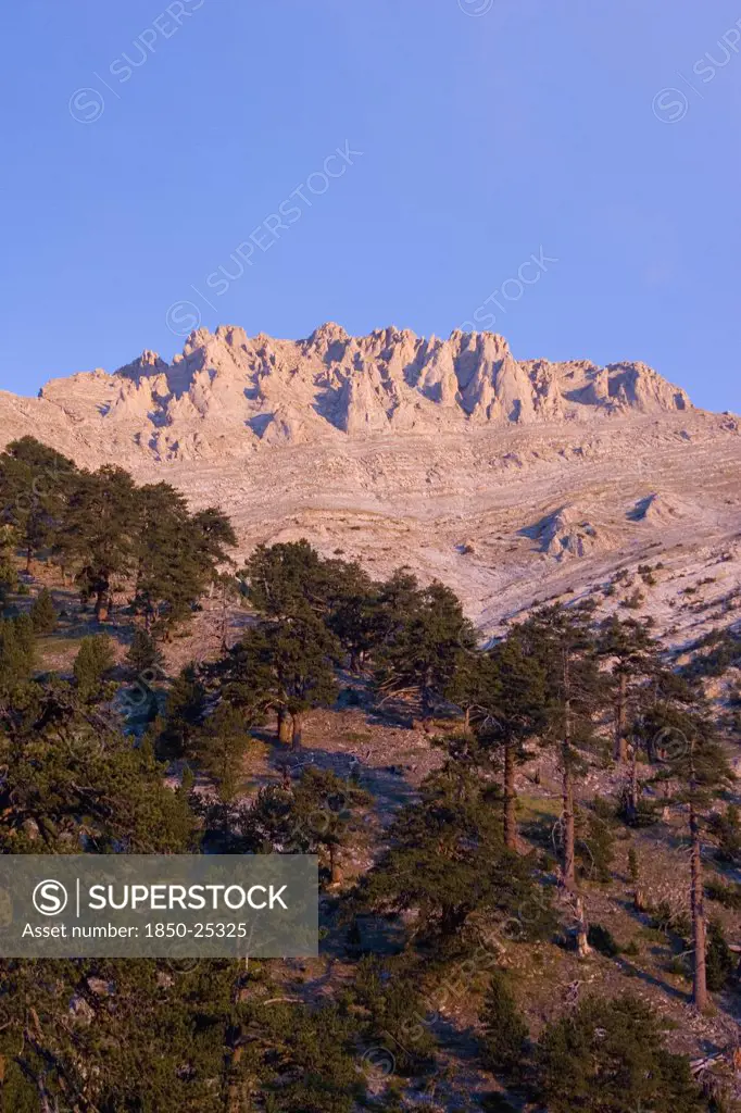 Greece, Macedonia, Pieria, View Of Eroded Pinnacles Of Highest Peak Of Mount Olympus Called Mytikas Over Trees Clinging To Lower Slopes.