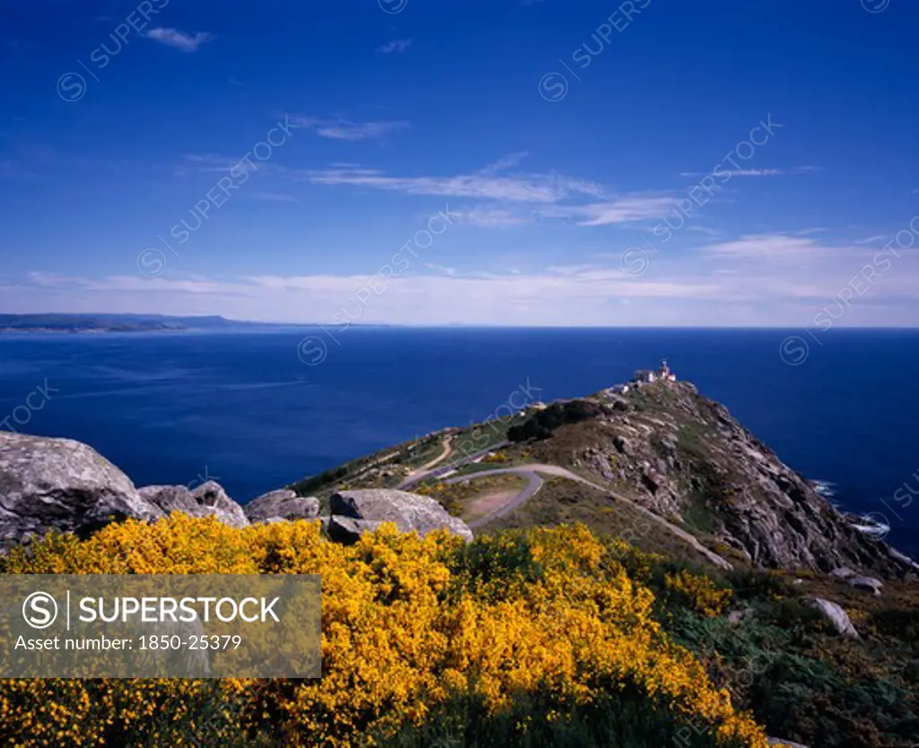 Spain, Galicia, Cabo Fisterra, View Over Rocky Peninsula Towards Atlantic Ocean With Yellow Flowering Broom In Foreground.