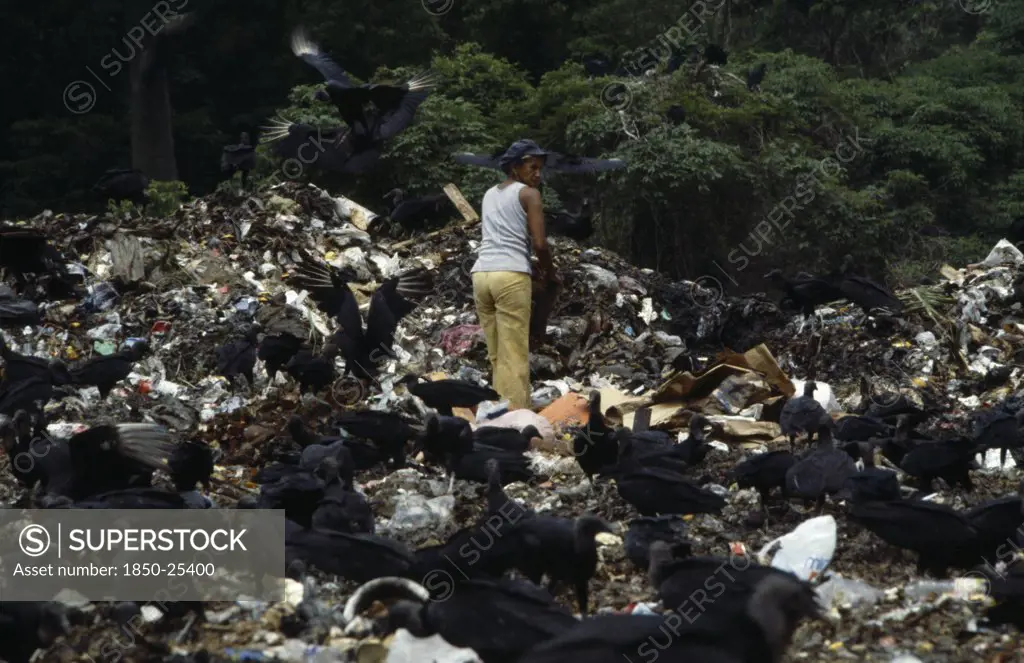 Ecuador, Guayas Province, Guayaquil , The City Rubbish Tip With A Woman Searching For Items To Recycle Amongst Waste Surrounded By Black Vulture Birds Scavenging.