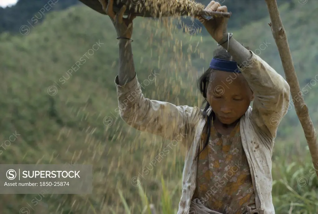 Malaysia, Borneo, Sarawak, Kayan Girl Winnowing Rice. Subgroup Of The Dayak Indigenous Tribes Native To Borneo