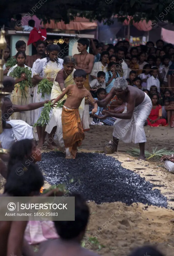 Sri Lanka, Religion, Hinduism, Punnaccolai Festival. Hindu Tamil Eight Year Old Boy Fire Walking. Perfomed As Part Of A Religious Vow To Honour Goddess Kali