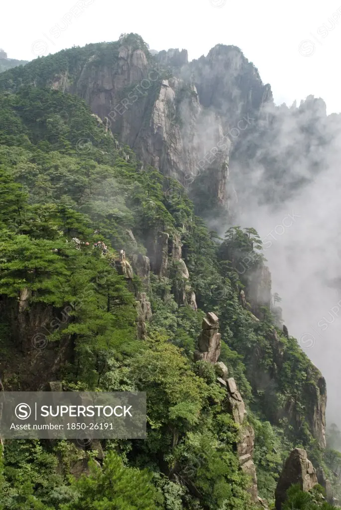 China, Anhui Province, Huang Shan , Huangshan Or The Yellow Mountain. Rock Peaks With Lush Green Pine Trees And A Sea Of Cloud. Has Inspired Countlless Painters And Poets Over The Ages And Has A 1200-Year History As A Tourist Attraction