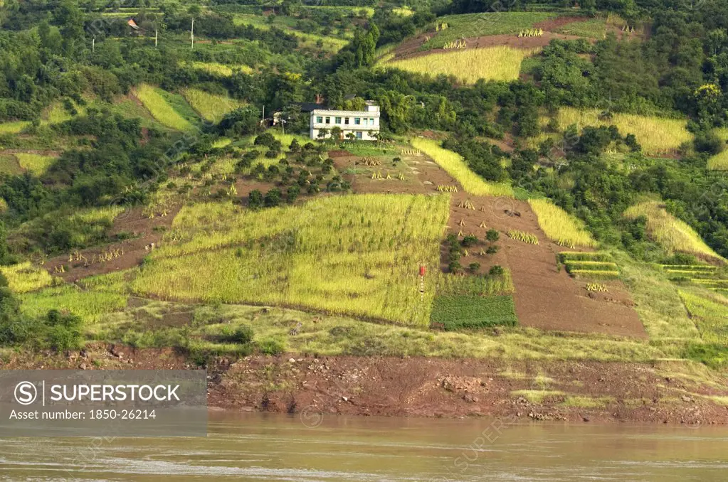 China, Chongqing , Yangtze, Rich Farmland On The Banks Of The Yangtze River Near The Qutang Gorge
