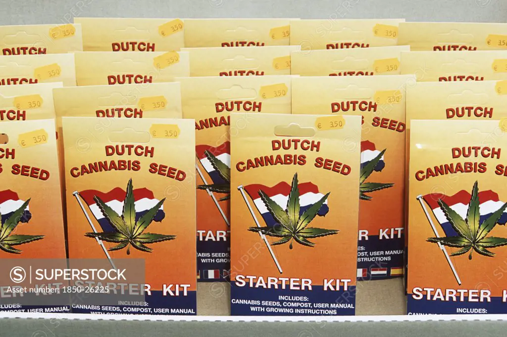 Holland, Amsterdam , Dutch Cannabis Seeds For Sale In Outdoor Street Flower Market